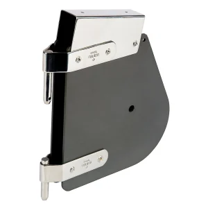 Tête de safran Laser