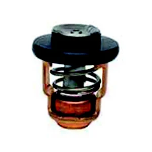 kit thermostat pour yamaha F2.5 PAT-15-04000010